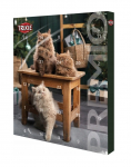 Advendikalender kassidele Trixie Premio Xmas, sealiha, 0.15 kg