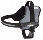 Koerte traksid Hobbydog Julletta, hall, 730 - 970 mm x 220 mm, XXL