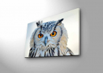 Reproduktsioon Wallity 4570DHDACT-142, 45 cm
