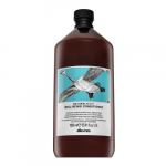 Juukse konditsioneer Davines Natural Tech Well-Being, 1000 ml