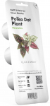 Nutiaia seemned Click & Grow, h&uuml;poeste, 40 g, 3 tk