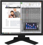 Monitor Eizo FlexScan S1934, IPS, 60 Hz, 19"