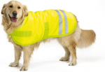 Vest koerale Beeztees Teddie, kollane, 50 cm