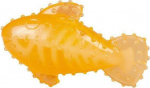 M&auml;nguasi koerale, tassimiseks Duvo Chew N Play Fish, 16.7 cm, oranž v.