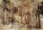 Fototapeet Artgeist Lost In The Woods, 140 cm x 196 cm