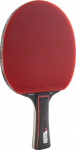 Lauatennise reket Joola Match Pro