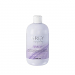 &Scaron;ampoon Inebrya Grey By Day, 300 ml