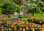 Pusle Ravensburger Gardens Keukenhof Holand, 70 cm x 50 cm, 1000 tk
