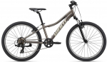 Laste jalgratas Giant XTC Jr, hall v., 24"