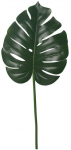 Kunsttaim, monstera Splendid Monstera, roheline, 72 cm x 25 cm