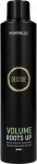 Juuksevaht Montibello Decode Volume Roots Up, 300 ml