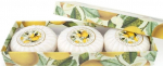 Seebikomplekt Fiorentino Bergamot and Gardenia, bergamott/gardeenia, 300 g, 3 tk
