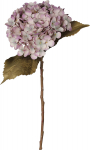 Kunstlill, hortensia Splendid Hortensia, violetne, 50 cm