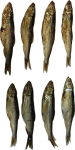 Koeramaius Arami Dried Baltic Sprat, kilu, 0.2 kg