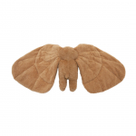 Pehme m&auml;nguasi elevant Warm & Weight, pruun v., 31 cm