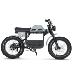 Elektriratas Ape Ryder 20 Gibbon, 1, 20", 250 W, 20 Ah, must/hall