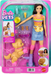 Nukk aksessuaaridega Mattel Barbie Pets JMJ45, 30 cm, mitmev&auml;rviline