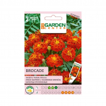 Seemned Garden Center peiulilled Brocade, 0.4 g