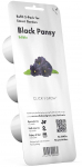 Nutiaia seemned Click & Grow, must pansy, 40 g, 3 tk