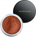 Pruunistav puuder Bare Minerals All Over Face Color, warmth, 1.5 g
