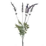 Kunstlill 384, violetne, 56 cm