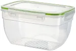 Konteiner toidu jaoks Ambition Gusto, 3.1 l, 23 cm x 17 cm, l&auml;bipaistev v./roheline v.