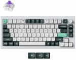 Juhtmevaba arvutiklaviatuur Keychron Q1 HE Q1H-P1 Gateron Double-Rail Magnetic Nebula, EN, valge v.