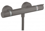 Termostaatiline du&scaron;isegisti Hansgrohe Ecostat Comfort Brushed, kroom