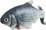 Elektriline m&auml;nguasi kassidele Trixie Wriggle Fish TX-45795, hall v., 30 cm