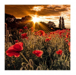 Reproduktsioon Wallity 4545NAT-13, 45 cm x 45 cm