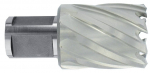 Augufrees Tivoly Short, 1.9 cm