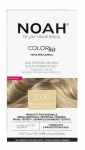 Juuksev&auml;rv Noah Color Kit, superplatinum blond v., 11.00, 140 ml
