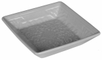 Seebialus Splendid Maur, hall v., 10 cm x 10 cm