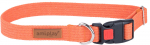 Kaelarihm koertele Amiplay Cotton with Lock, oranž, 350 - 500 mm x 20 mm, 35-50
