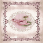 Vaip Conceptum Hypnose EEXFAB645, roosa/beež, 120 cm x 80 cm