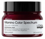 Juuksemask L'Or&eacute;al Professionnel Paris Vitamino Color Spectrum, 250 ml