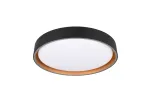 Valgusti lagi ja seinad RL Felis R64391080, LED, 2700 - 6500 &deg;K, 1 x 24 W, valge v. / kuldne v.