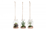 Kunsttaim, sukulent, roheline, 15 cm x 5 cm