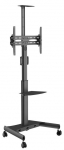 Teleri seinakinnitus Vivolink Mobile Stand VLFS3266C, 32-65", 35 kg