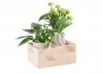 Kast Domoletti 508400, m&auml;nd, 33 cm x 25 cm