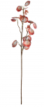 Kunstoks Splendid, pruun/punane, 70 cm