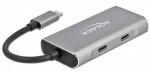 Adapter Delock External, hall v.