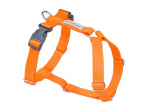 Koerte traksid Amiplay Guard Samba, oranž, 250 - 320 mm x 10 mm, XS