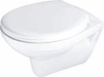 WC-pott, seinapealne Deante Boro Rimless, kaanega, 375 mm x 529 mm