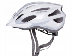 Jalgrattakiiver universaalne Alpina MTB17, h&otilde;be v., 54-58 cm