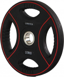 Ketasraskused Gymstick Pro Pump Set Disc 2.5 kg