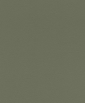 TAPEET 752687 WALL FLIIS