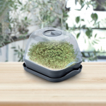 Kasvulava - lasteaed Prosperplast Respana, 25.7 cm x 19.6 cm x 18.5 cm