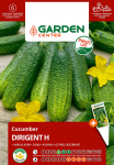 Seemned Garden Center, kurgid DIRIGENT H, 10 tk