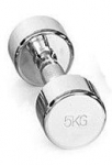 Hantel Gymstick Pro Chrome Dumbbell 5 kg